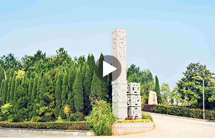 咨詢(xún)熱線(xiàn)：0539-8551562